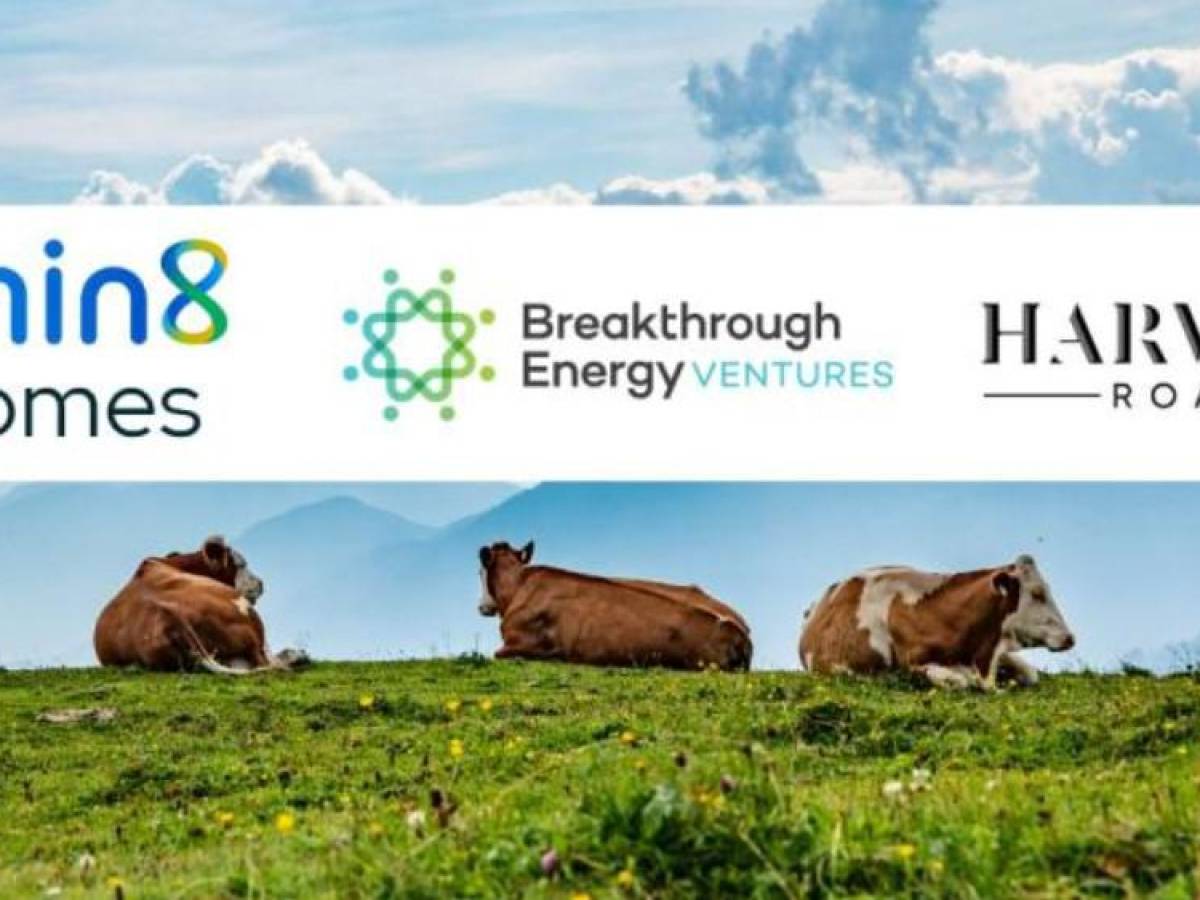 Bill Gates apuesta por startup que busca reducir el metano que emiten los gases de las vacas