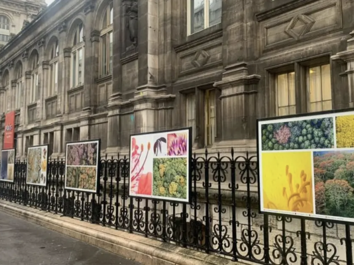 Naturaleza de Costa Rica deslumbra en las calles de París