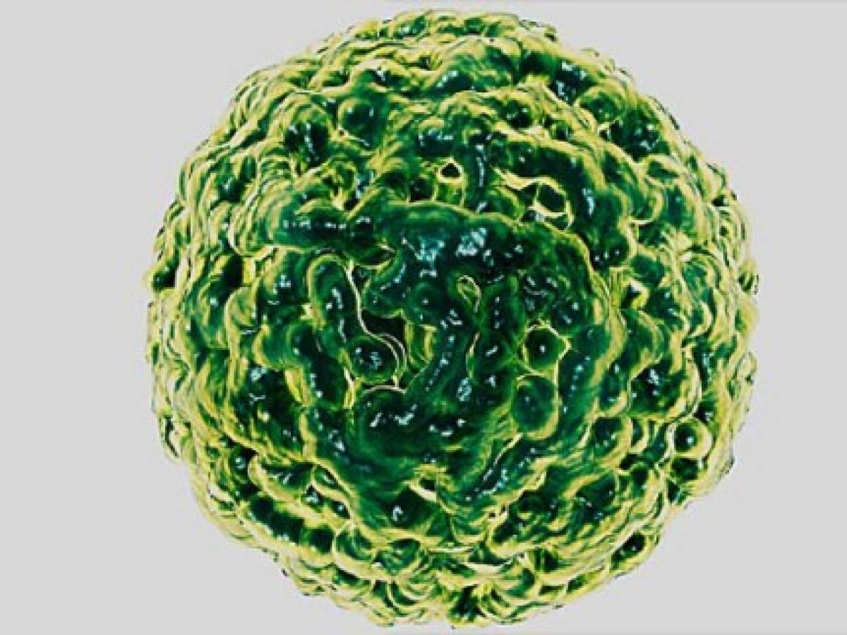 Qué es el norovirus, el nuevo brote que preocupa a China