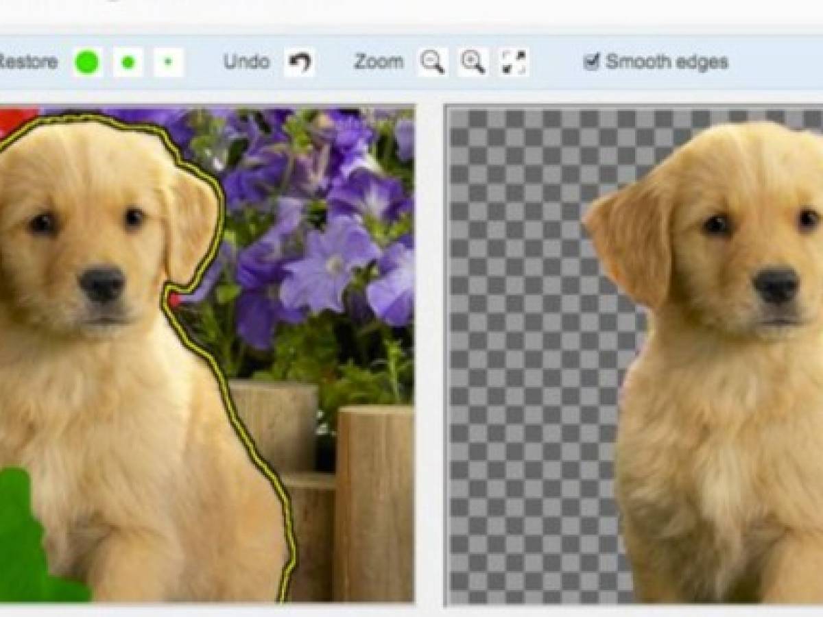 Recorta el fondo de tus fotos con solo un clic