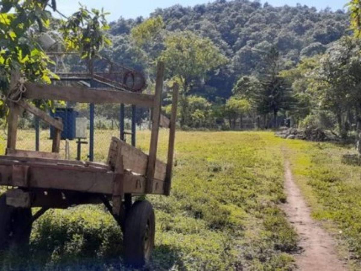 Proyectos de ecoturismo luchan por sobrevivir en Nicaragua