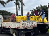 <i>Durante los próximos tres años, LAICA prevé mantener el acompañamiento técnico y la incorporación de nuevas tecnologías, con la meta de que los productores cuenten con mayores herramientas. Foto de cortesía</i>