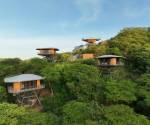 Entre árboles y líneas puras: el lenguaje arquitectónico de Suitree en Guanacaste