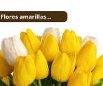¿Flores amarillas?... Esto debe saber