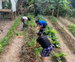 <i>El plan busca impulsar inversiones que generen resultados sostenibles para Honduras y convertir los recursos destinados al sector agroalimentario en una herramienta para transformar las condiciones de las familias rurales. Foto de cortesía</i>