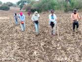 <i>El presidente de la Asociación Cámara Salvadoreña de Pequeños y Medianos Productores Agropecuarios (CAMPO), Luis Treminio, señaló que cerca de 6,9 millones de quintales de maíz, frijol y sorgo o el 100 % de la siembra de agosto y septiembre, estarían en riesgo como consecuencia de la sequía. Foto de cortesía</i>