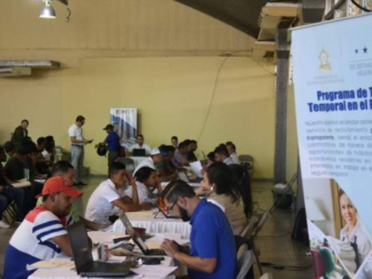 Hondureños se postulan para obtener una visa de trabajo temporal en EE.UU.