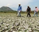La sequía amenaza cosechas, precios de alimentos y seguridad alimentaria. (Foto:Archivo)