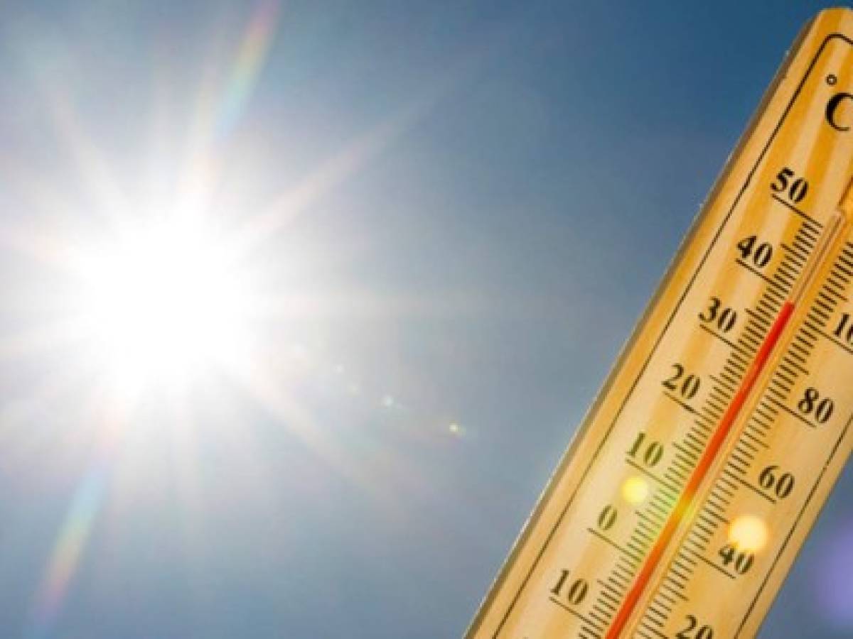 2019 fue el segundo año más cálido jamás registrado en el mundo