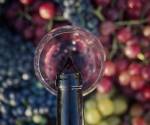<i>La producción de vino en 2024 alcanzó 225,8 mhl, un 4,8 % menos que en 2023 y la más baja en 60 años. FOTO Shutterstock</i>