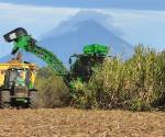 <i>Nicaragua cuenta con 95% de la cosecha mecanizada. FOTO REFERENCIA</i>