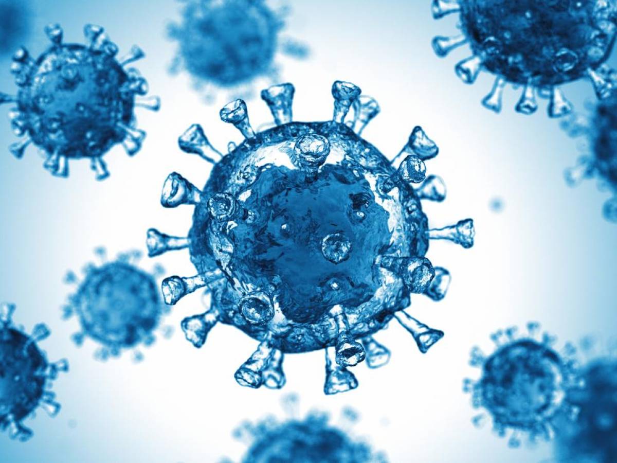 OMS: El mundo ‘nunca ha estado en mejor posición para acabar con la pandemia’