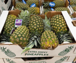 <i>Esta oportunidad para diversificar la oferta exportable de Panamá generará mayores encadenamientos productivos de los productos agrícolas. Foto de cortesía</i>
