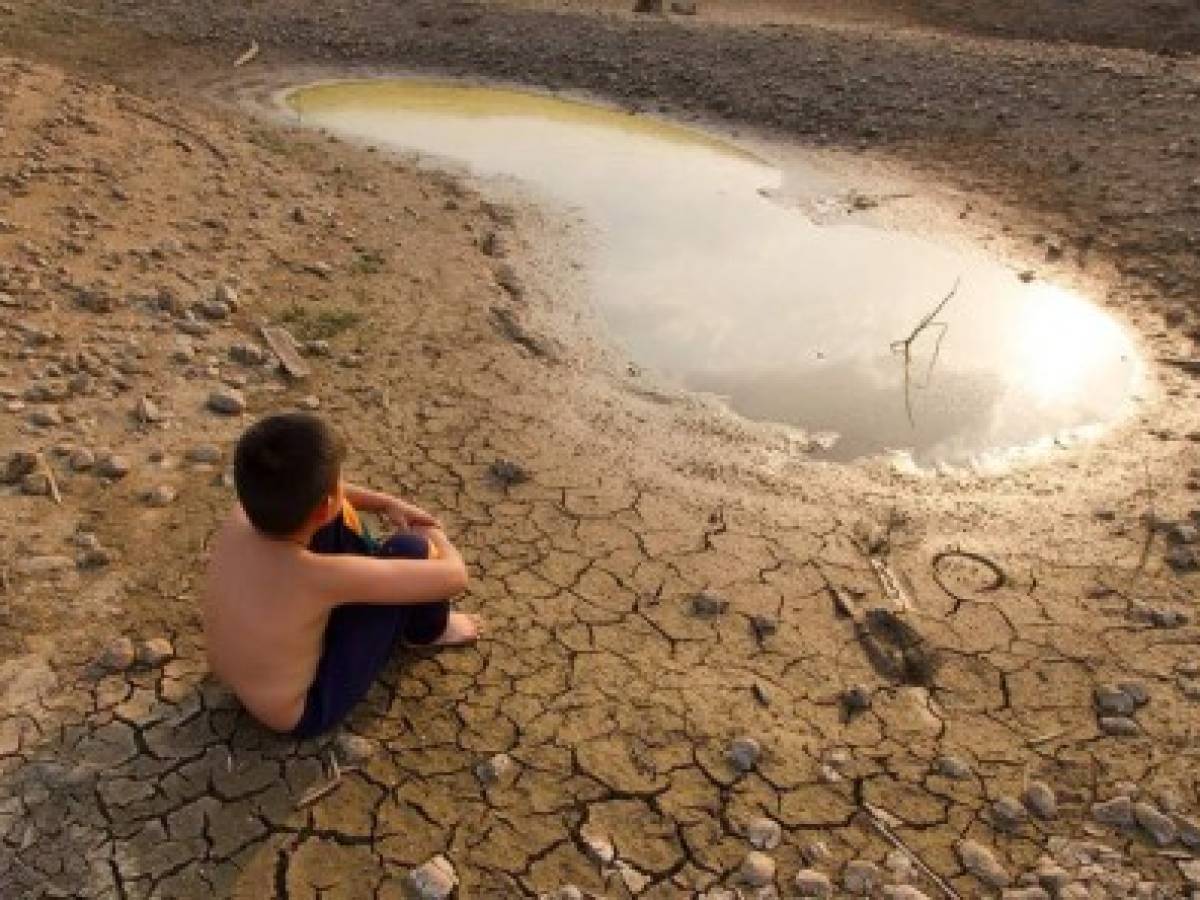 Aumenta el hambre en el mundo por cambio climático y conflictos