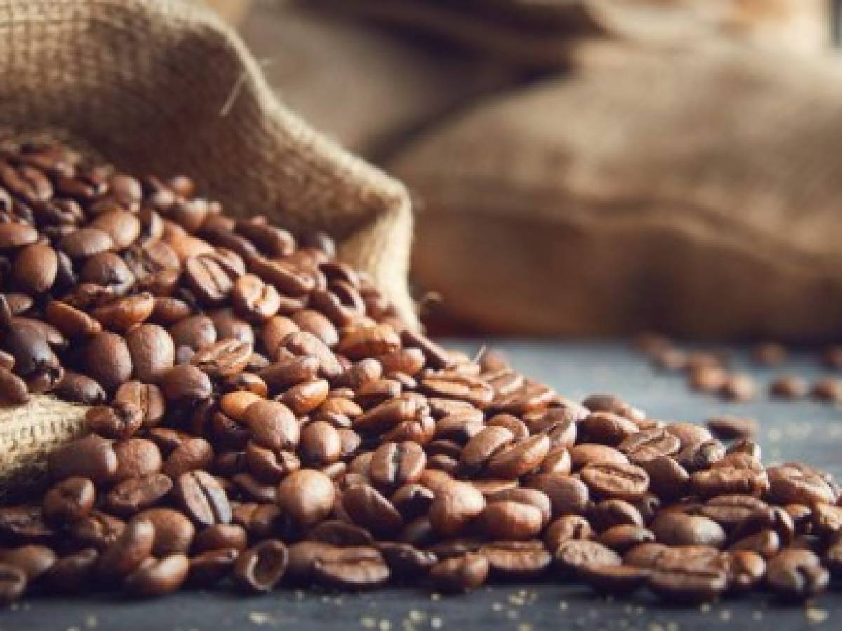 Exportaciones de café de Honduras caen 18% por el coronavirus