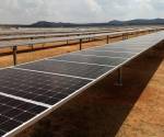 <i>Fotografía de archivo de paneles solares en el municipio de Villa de Arriaga, en San Luis Potosí (México). EFE/ Ulises Andrade</i>