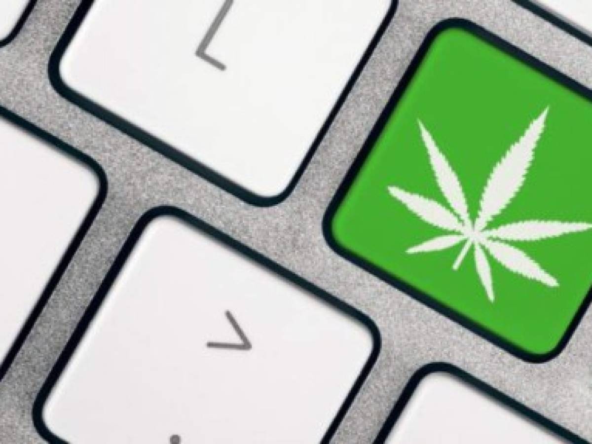 Microsoft desarrolla 'software' para la industria de la marihuana legal