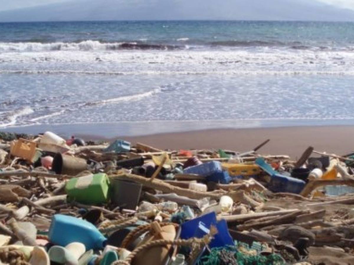 El ser humano convirtió el mar en un basurero, dice presidenta WWF