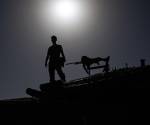<i>Imagen de archivo de un soldado israelí sobre un tanque de batalla en la frontera con la Franja de Gaza. EFE/EPA/CHRISTOPHE PETIT TESSON</i>