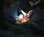 <i>Científicos de Argentina lograron el nacimiento de un cerdo genéticamente modificado con vistas a que sus órganos puedan ser trasplantados a humanos, informaron fuentes académicas.. EFE/Salas</i>