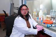 <i>La científica nicaragüense Lee Seng Lau lidera una investigación en la FIU sobre un escudo protector de azúcar en las células que podría ayudar a pacientes con cáncer a sobrevivir más tiempo y combatir mejor los tumores, con la meta de hacer tratamientos más accesibles. EFE/ Alberto Boal</i>
