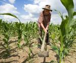<i>El mecanismo contempla opciones de reprogramación o reestructuración de obligaciones crediticias, períodos de gracia, ampliación de los plazos y la posibilidad de acceder a nuevos financiamientos para mantener las actividades productivas de Honduras. Foto de iStock</i>