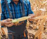 <i>Mientras algunas zonas podrían enfrentar sequías, déficit hídrico y temperaturas superiores al promedio, otras podrían registrar lluvias intensas, inundaciones y deslizamientos. Foto de iStock</i>