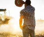 <i>En el área urbana, el ingreso laboral alcanza 12,167 lempiras, unos US$450 mensuales, mientras que en el área rural se reduce a 7,609 lempiras, cerca de US$282. Foto de iStock</i>