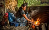 <i>El departamento de Alta Verapaz, ubicado en el norte del país, se mantiene como la región más crítica en fase de crisis al afectar a más del 28 % de su población local. Foto de iStock</i>
