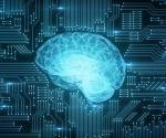 Los Laboratorios de Superinteligencia de Meta contarán con niveles de computación líderes en la industria y, con diferencia, la mayor capacidad de computación por investigador. Foto de iStock