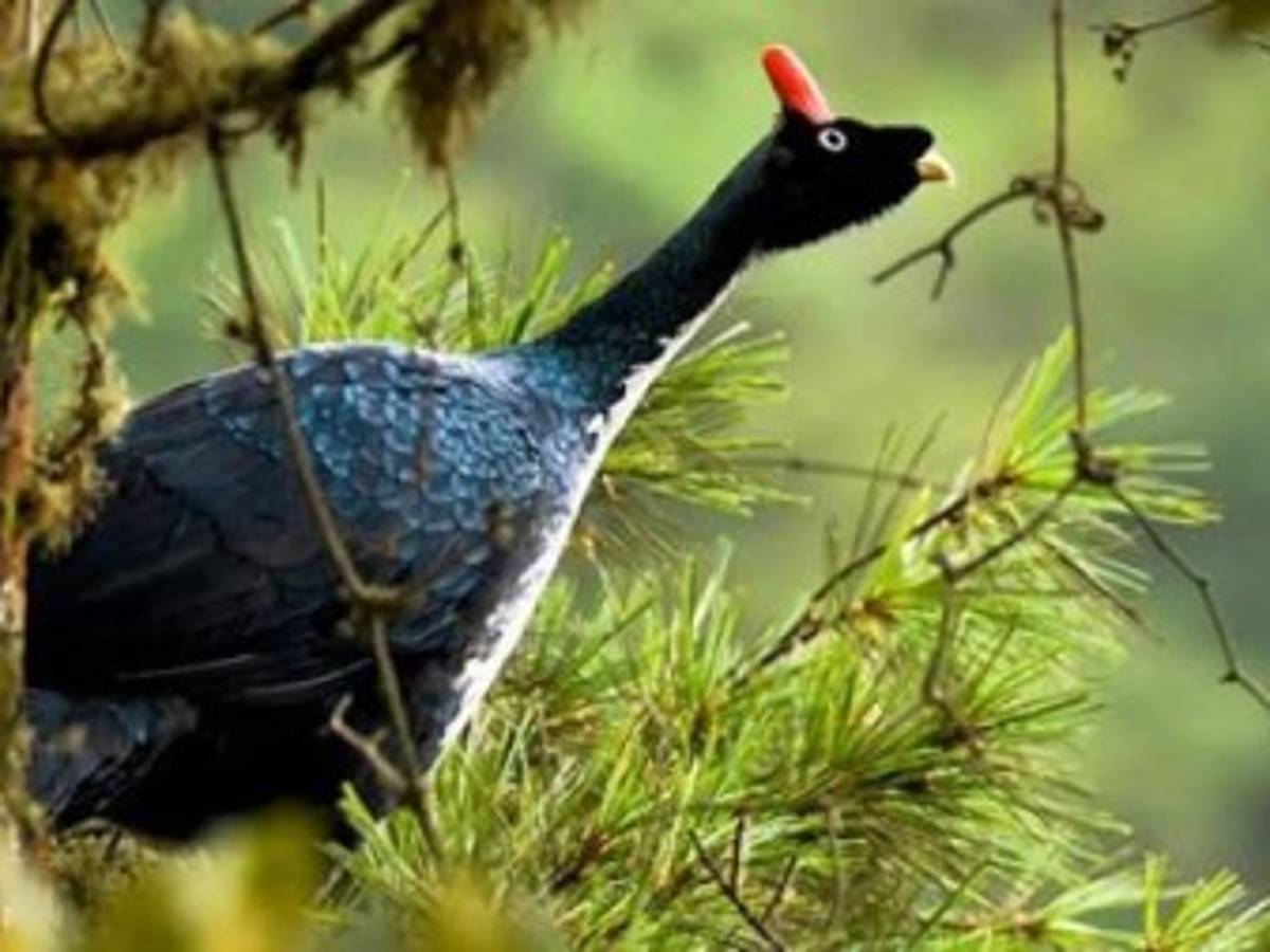 Foto: Estrategia y Negocios