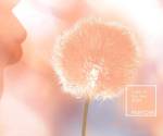 <i> Peach Fuzz (Pantone 13-1023). Es un 'melocotón suave y aterciopelado'. Foto Pantone</i>