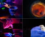 <i>De izquierda a derecha: dispositivo Colossal para la incubación de huevos artificiales; embrión sano; pollito nacido del dispositivo; primer primer plano del polluelo. Crédito: Colossal Biosciences.</i>