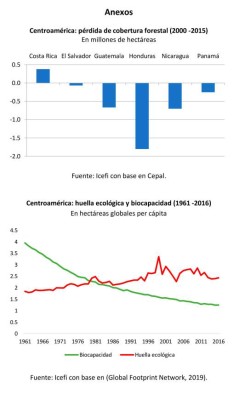 Icefi: Gobiernos de la región deben implementar políticas de recuperación ambientalmente sostenibles