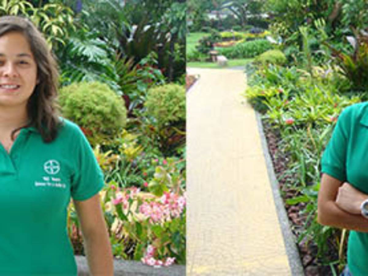 Costa Rica: universitarias presentarán proyectos ambientales en Alemania