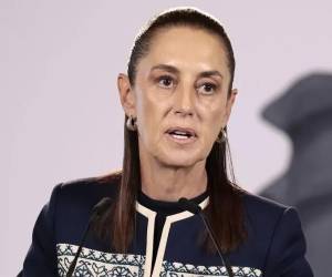 <i>“México no tiene por qué ser factor en su elección, no somos ni piñata ni asunto de los estadounidenses”, afirmó la presdienta de México. (Foto: EFE)</i>