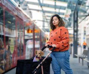 <i>Los jóvenes retrasan decisiones como independizarse, comprar una vivienda, casarse o tener hijos, mientras que el aumento de la esperanza de vida prolonga la etapa posterior a la jubilación. Foto de cortesía</i>