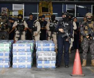 Según datos de Naciones Unidas, en 2024 la producción de cocaína superó por primera vez las <b>4.000 toneladas</b> y siguió creciendo. (Foto: EFE)