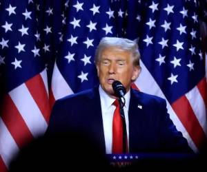 <i>Trump dijo en una rueda de prensa en Carolina del Norte que la eventual integración de Canadá a la UE sería un acto hostil y aseguró que impondría serios aranceles para frenar a Europa. EFE/EPA/Cristobal Herrera-Ulashkevich</i>