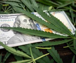 El cambio no implica la legalización total a nivel federal, pero sí redefine el marco operativo de una industria en crecimiento. (Foto: Shutterstock)