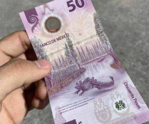 El billete que nadie quiere gastar por su belleza y que algunos compran por miles de dólares