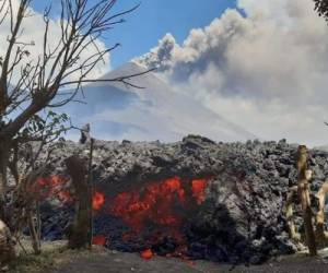 Flujo de lava del volcán Pacaya avanza por sembradíos de café y aguacate dejando destrucción a su paso.