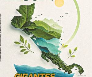Edición E&amp;N 317: Gigantes de la Sostenibilidad