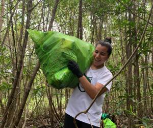 Costa Rica será sede de encuentro global de economía circular