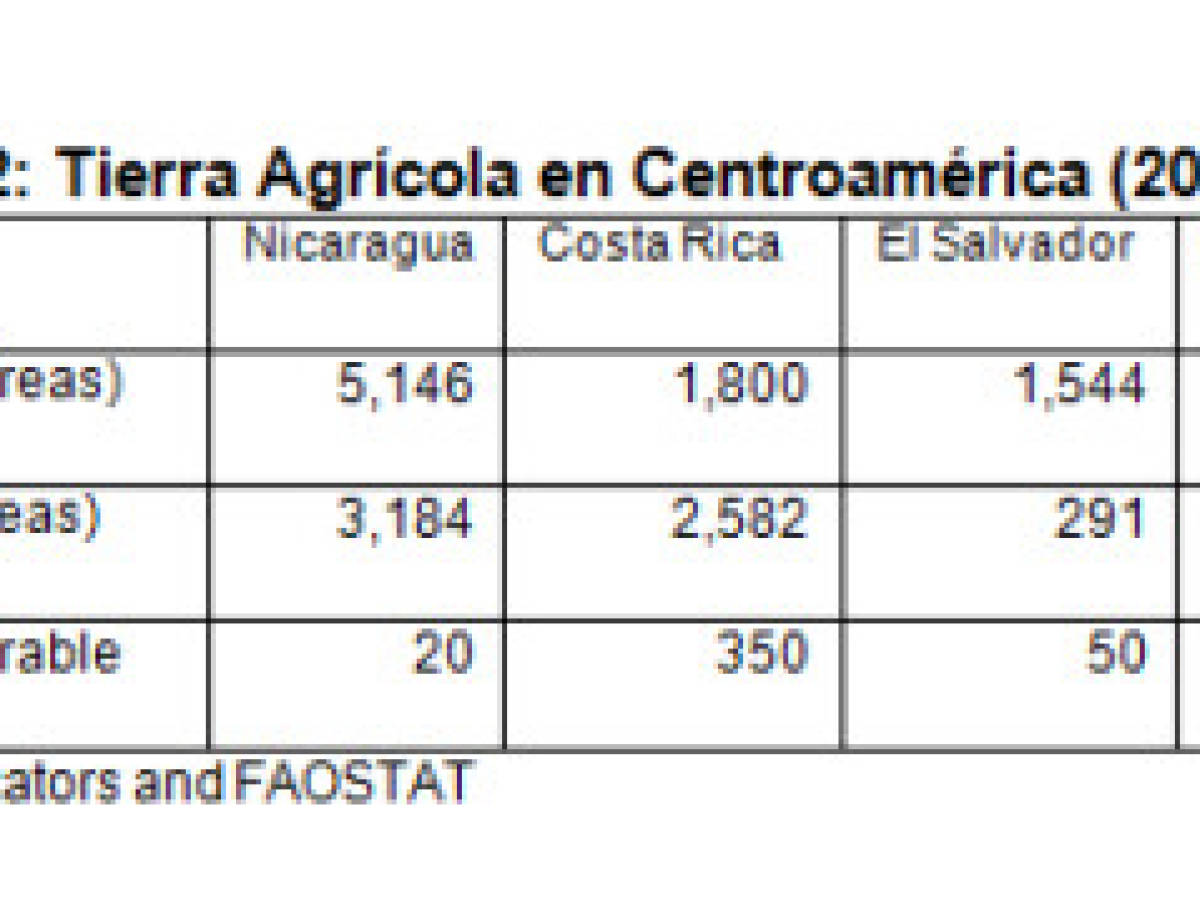 Estrategia de competitividad para la agricultura en Nicaragua