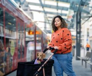 <i>Los jóvenes retrasan decisiones como independizarse, comprar una vivienda, casarse o tener hijos, mientras que el aumento de la esperanza de vida prolonga la etapa posterior a la jubilación. Foto de cortesía</i>