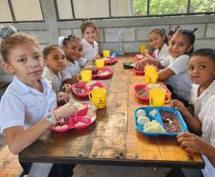 <i>Honduras volverá a acceder a fondos del Departamento de Agricultura de Estados Unidos (USDA, en inglés), por un monto de US$40 millones. Foto de cortesía</i>