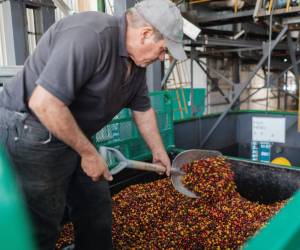 <i>De acuerdo con datos del Banco de Guatemala (central) entre enero y marzo pasado los exportadores vendieron productos por un total de 4.012,3 millones de dólares, un 10,7 % más que los 3.624,5 millones de dólares del mismo lapso de 2024. FOTO ARCHIVO E&amp;N</i>