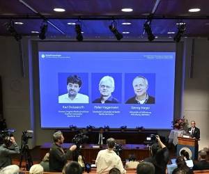<i>Miembros de la Asamblea del Nobel anuncian a los galardonados con el Premio Nobel de Fisiología o Medicina de 2026. EFE/EPA/Ponus Lundhal</i>