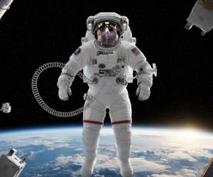 <i>FOTO GENERADA POR NANO BANANA</i>